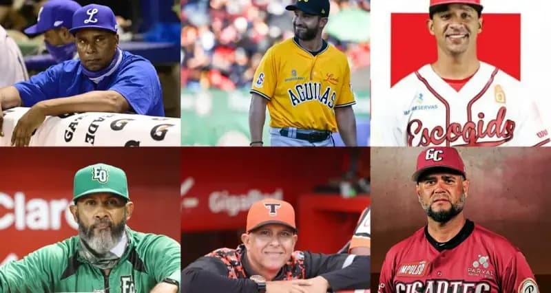 Pelota invernal: este será el cuerpo de entrenadores de cada equipo