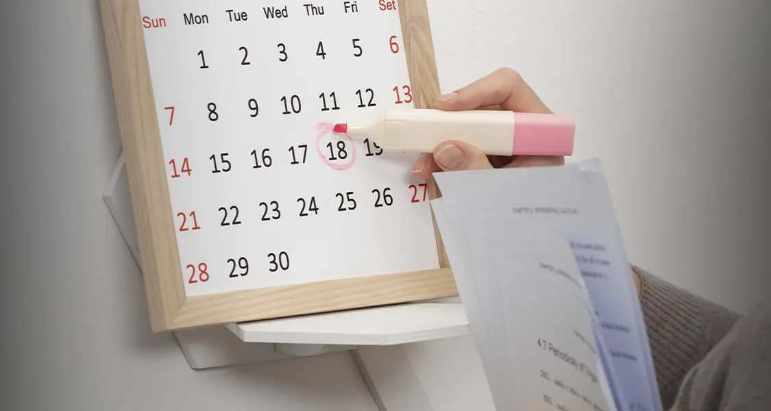 ¡Anota la fecha! Estos son los días feriados que se cambian en el 2024