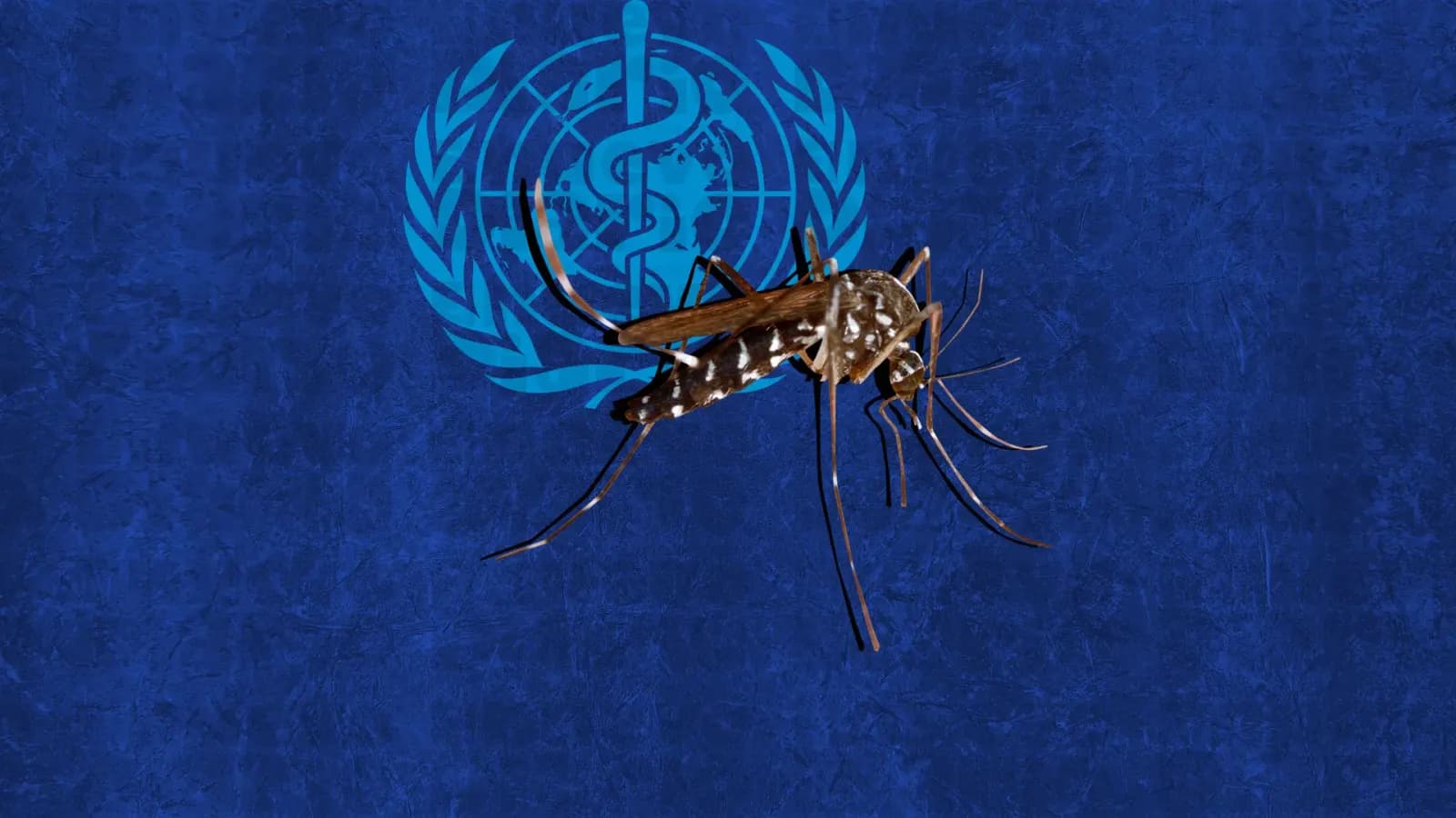 La OMS sigue con preocupación brotes de dengue en Latinoamérica, sobre todo en Brasil