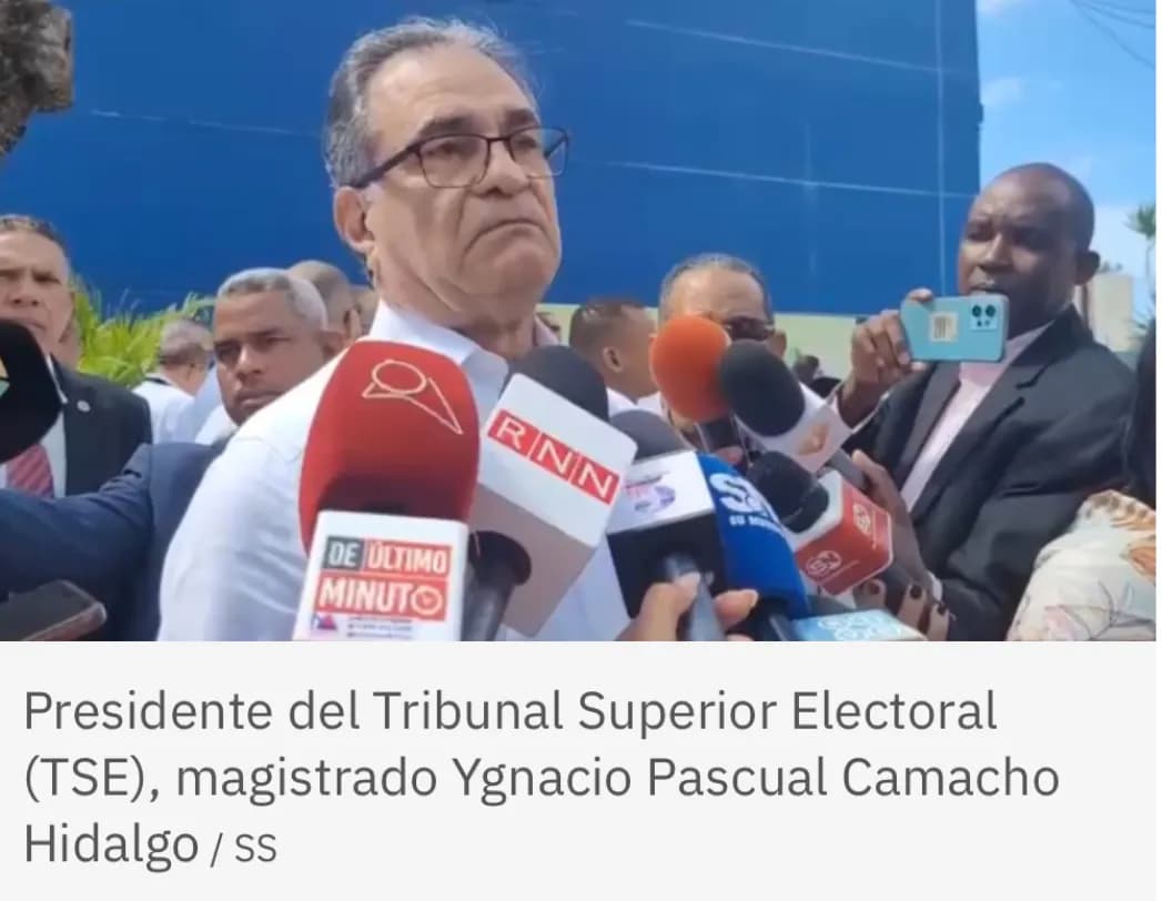 Presidente del TSE: “Algún día aceptaremos que las decisiones de los tribunales hay que cumplirlas”