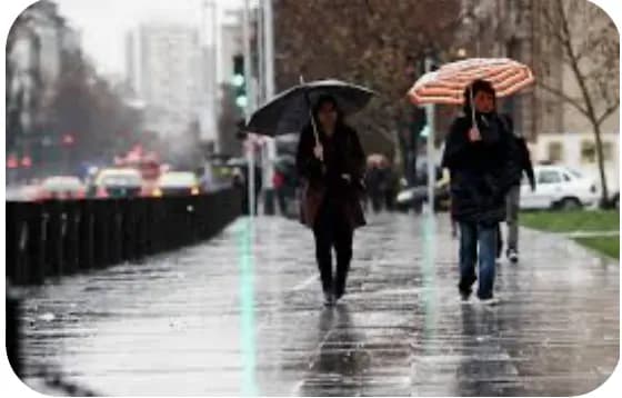 Los estragos de las lluvias: árboles derribados, familias desplazadas y 24 provincias en alerta