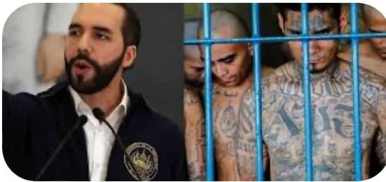 Cómo fue el pacto de Nayib Bukele con los líderes pandilleros a los que dejó escapar