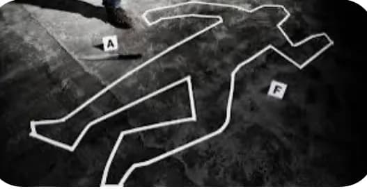 Homicidios, drogas, armas o extorsiones: Los males criminales que afectan a América Latina
