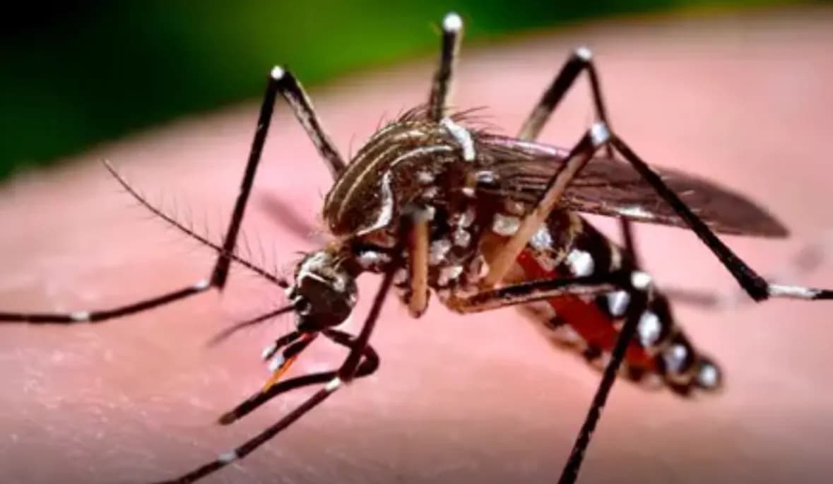 República Dominicana confirma casi mil casos de dengue y nueve muertes