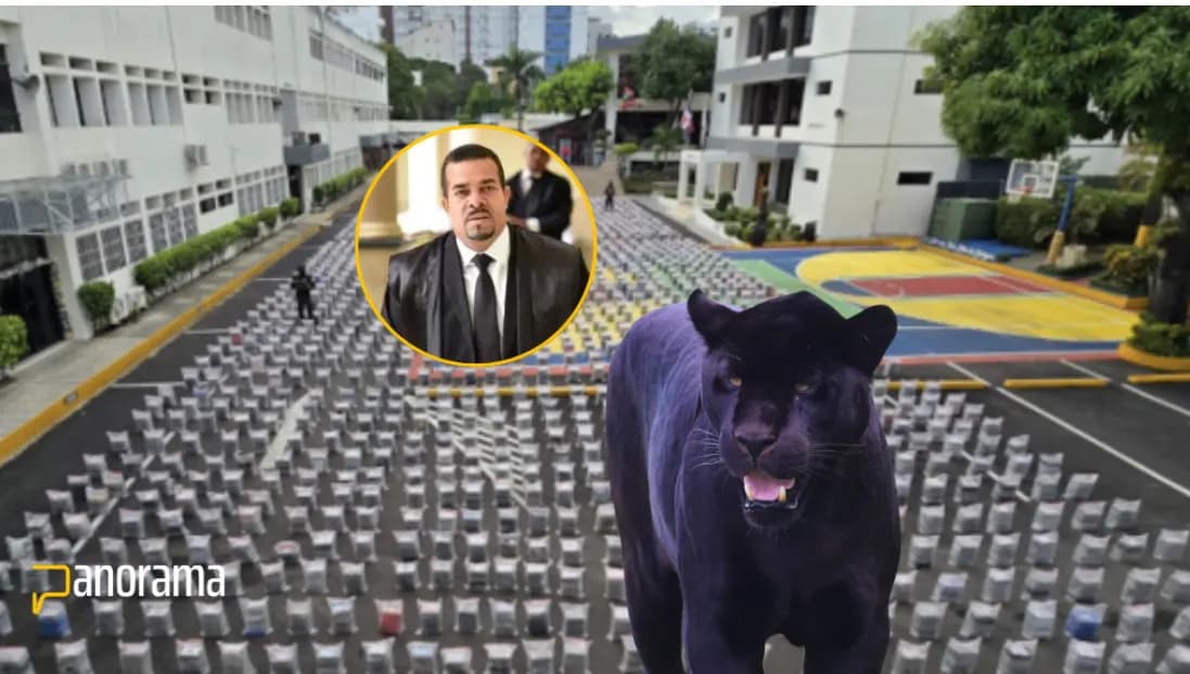 Director del distrito municipal de Bayahibe y su hijo apresados por Operación Panthera 7
