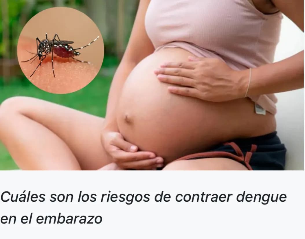 Cuáles son los riesgos de contraer dengue en el embarazo