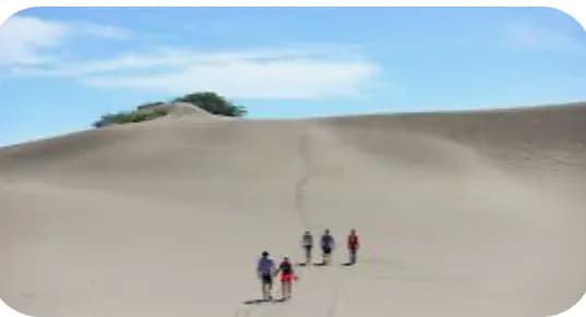 Ambientalista reclama "protección total" para las Dunas de Baní