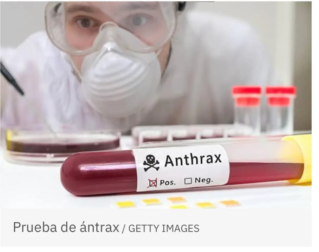 Síntomas más comunes del ántrax, enfermedad que también afecta a perros y gatos